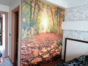 IMG 20200221 123747 1024x768