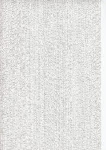 9007 2
