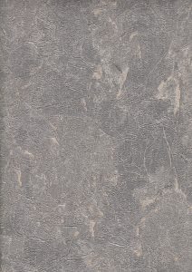 Image 22