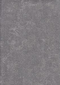 Image 26