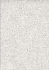 Image 29