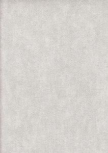 Image 30