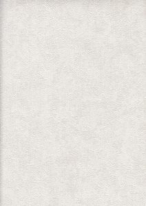 Image 31
