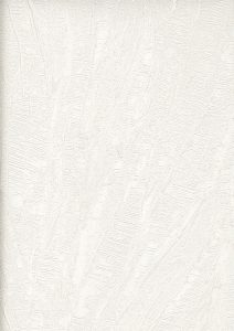 Image 31