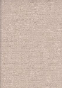 Image 39