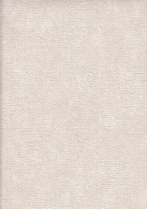 Image 40