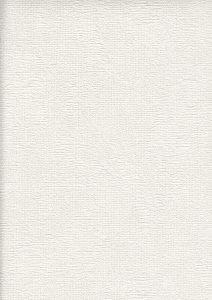 Image 41