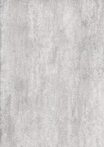 Image 45