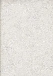 Image 45