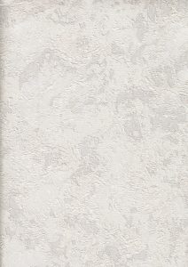 Image 48