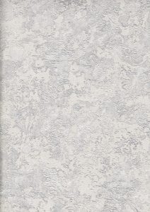 Image 49