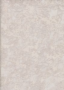Image 51