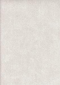 Image 52