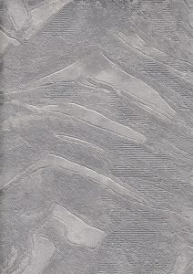 Image 56