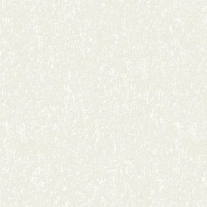 Image 61